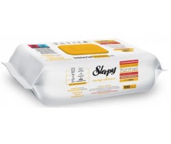 Вологі серветки для прибирання Easy Clean з клапаном 100шт евкаліпт