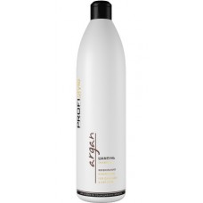 Шампунь живильний PROFIStyle Argan 1 л