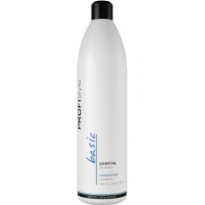 Шампунь очищаючий PROFIStyle Basic 1 л